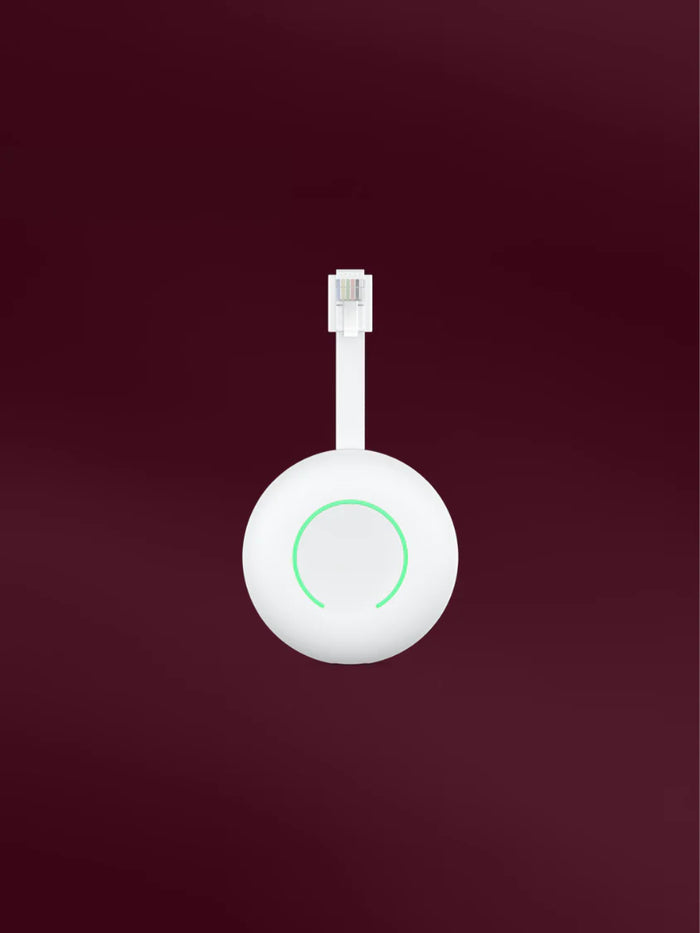 Compatibel met Homewizard P1